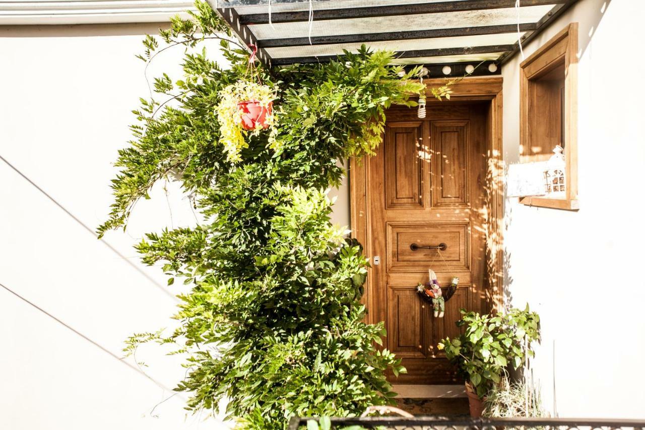 La Casa Di Caterina ξενώνας Λευκάδα Εξωτερικό φωτογραφία