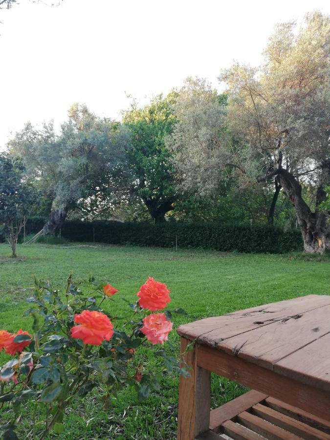La Casa Di Caterina ξενώνας Λευκάδα Εξωτερικό φωτογραφία
